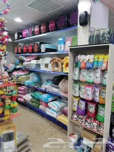 طيور قطط سمك مستلزمات 3