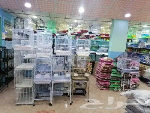 طيور قطط سمك مستلزمات 18