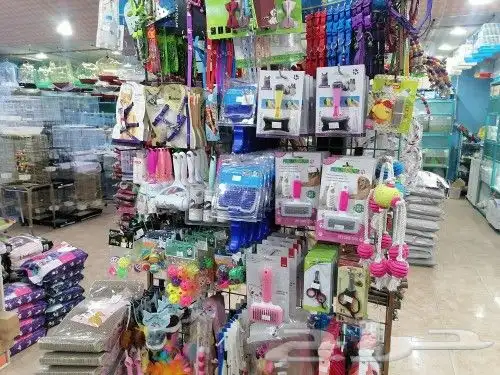 طيور قطط سمك مستلزمات 22