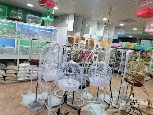 طيور قطط سمك مستلزمات 20