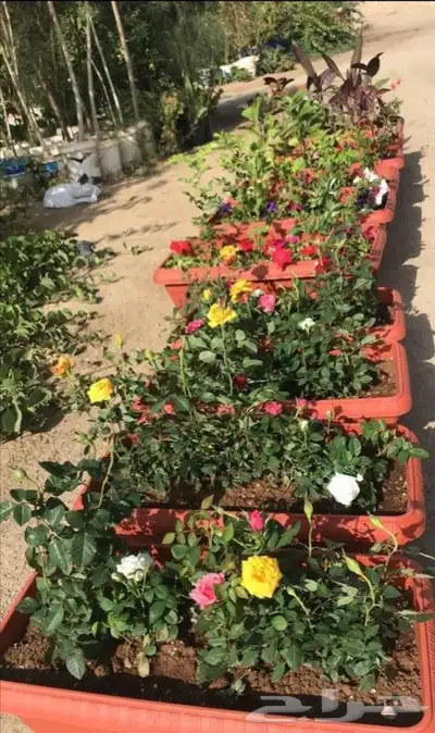 تنسيق حدائق وشلالات ونوافير 19
