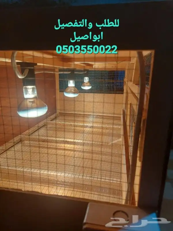 حاضنات حاضنة ومحاكر صوص 2