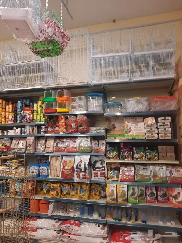 اقفاص طيور وببغاء 9