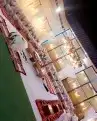 تأجير جلسات شعبيه عددت أنواع 31