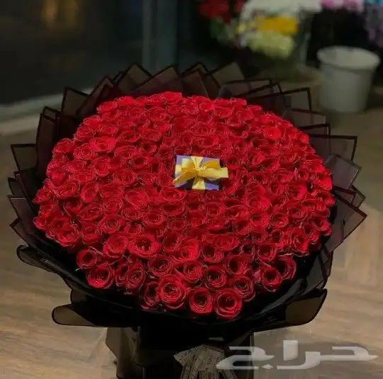 كوشات خميس مشيط أبها التثليث جميع المناطق الجنوبيه 9