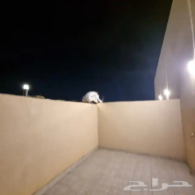 روفات للبيع 1