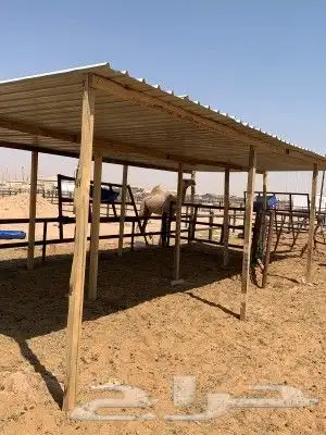 مضلات ابل سهلت الفك وتركيب ذرف أبل عشش دجاج ص 45