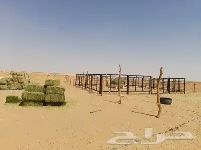 مضلات ابل سهلت الفك وتركيب ذرف أبل عشش دجاج ص 13