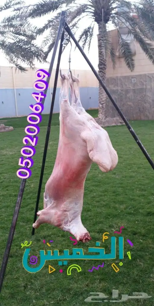 مشويات ومشاوي في الاستراحات والمخيمات 1