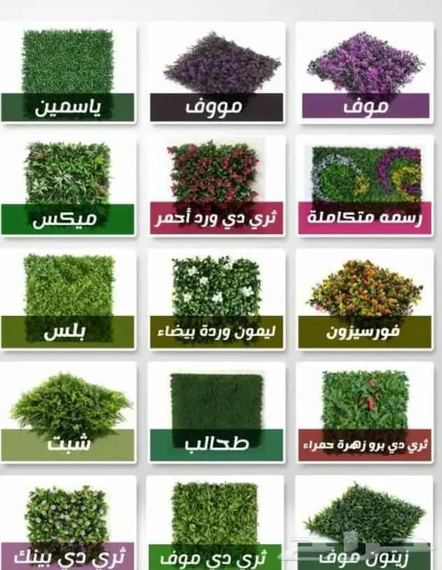 تنسيق حدائق وشبكات راي 2