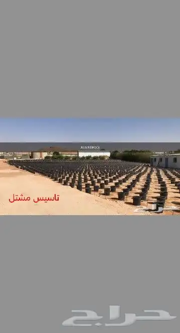 زراعة شتلات وتمديد شبكات ري 4