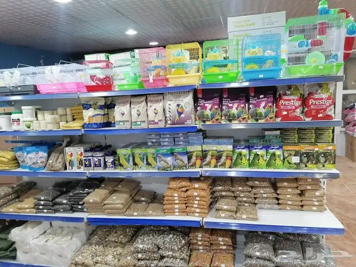 قطط مستلزمات أعلاف قطط طيور اسماك 10