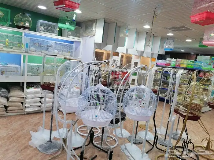 قطط مستلزمات أعلاف قطط طيور اسماك 20