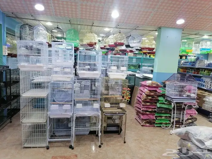 قطط مستلزمات أعلاف قطط طيور اسماك 18