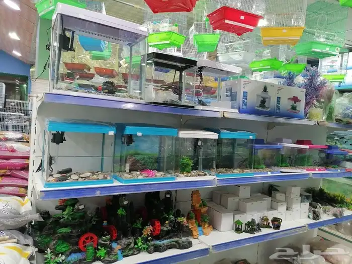 قطط مستلزمات أعلاف قطط طيور اسماك 21