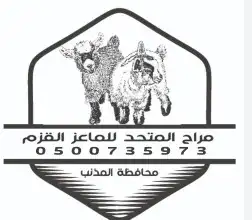 جفرتين قزمي مكس 1