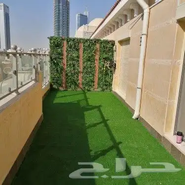 تنسيق الحدائق 16