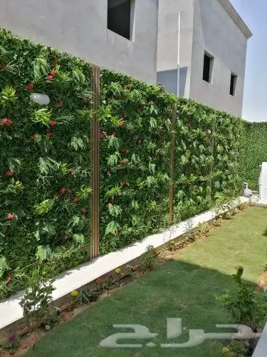 تنسيق الحدائق 19