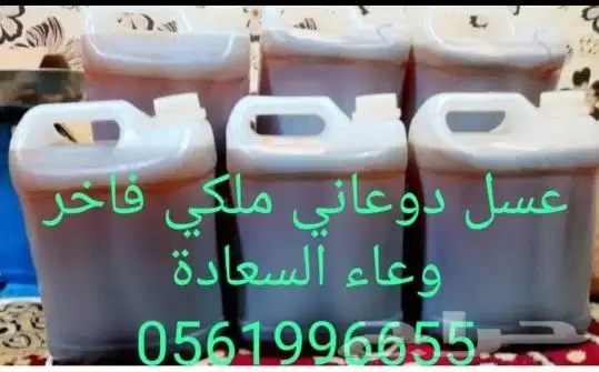 عسل سدر بلدي  سمرة بلدي  طلحة بلدي جودة وسعر 1