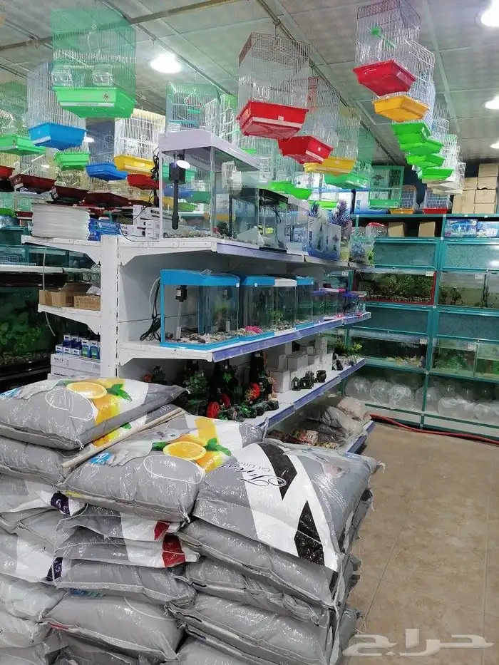 قطط مستلزمات أعلاف قطط طيور اسماك 5