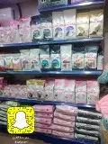 سلاحف سلحفات 0