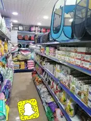 سلاحف سلحفات 10