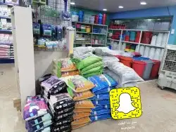سلاحف سلحفات 14