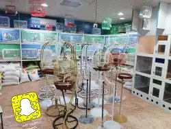 سلاحف سلحفات 9