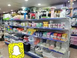 سلاحف سلحفات 12