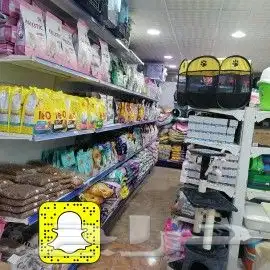 سلاحف سلحفات 1