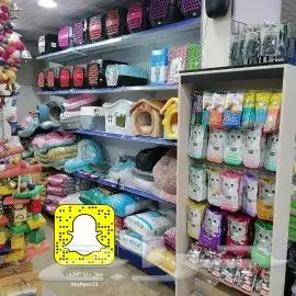 سلاحف سلحفات 4