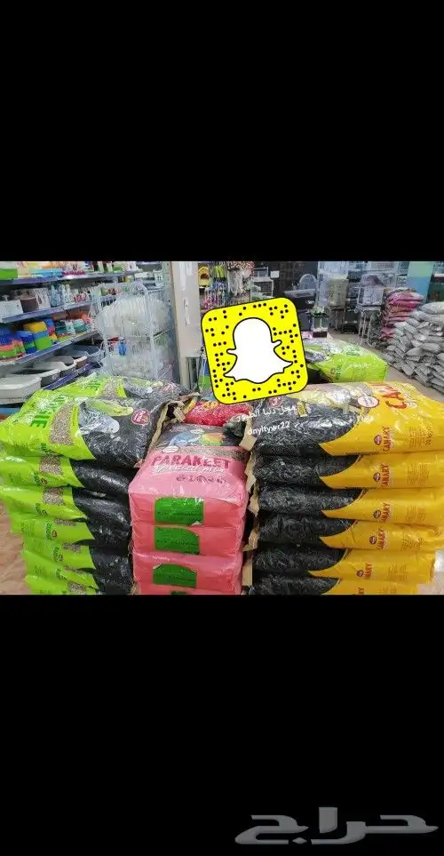 سلاحف سلحفات 13