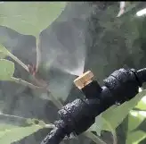 رذاذ وضباب 8