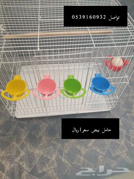 مستلزمات الكناري 17
