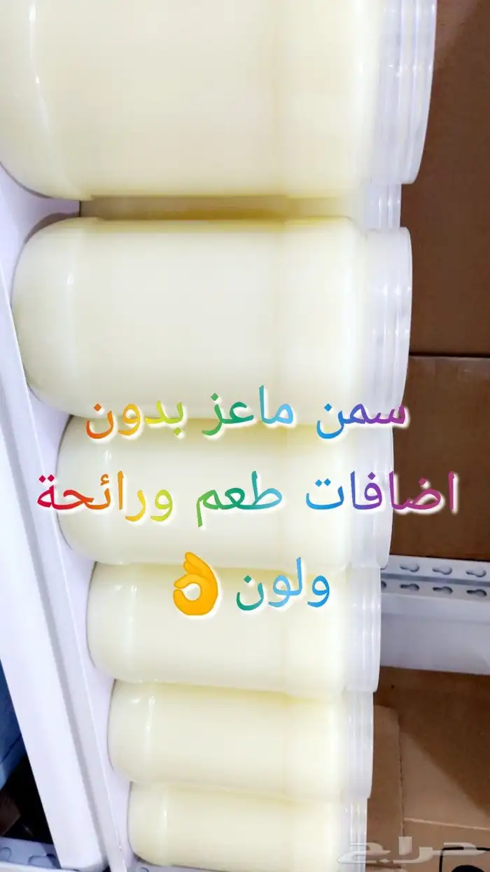 سمن ماعز مديني ابيض بدون اضافات وسمن اخضر مبهر 0