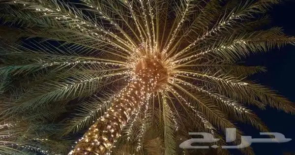 اناره led للتزيين 2