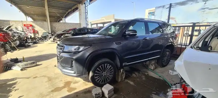 قطع غيار صيني شنجان CS95 2022 0
