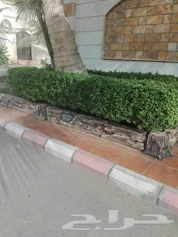 نحات  رسام  شلالات  نوافير  رسم_محلات  ديكورات_بيوت  مطاعم 6