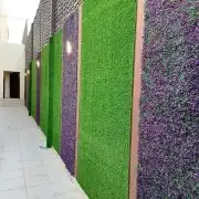 تيل طبيعي سي 2000 أمريكي 27