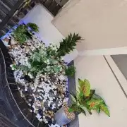 تيل طبيعي سي 2000 أمريكي 25