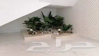 تيل طبيعي سي 2000 أمريكي 20