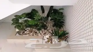 تيل طبيعي سي 2000 أمريكي 19