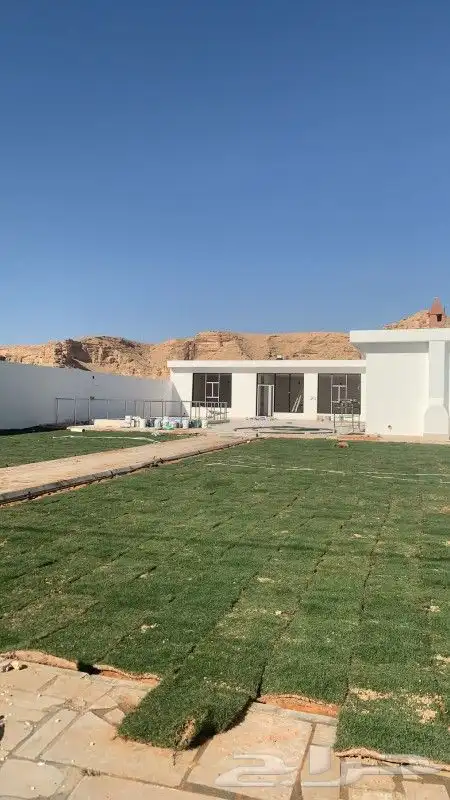 تيل طبيعي سي 2000 أمريكي 4