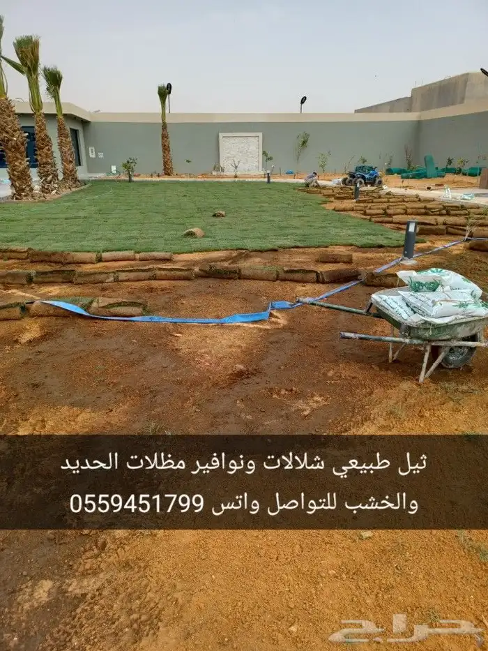 تيل طبيعي سي 2000 أمريكي 2