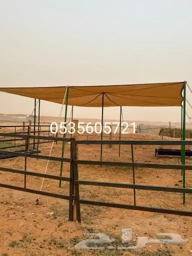مظلات غنم مظلات أغنام مظلة حلال 22