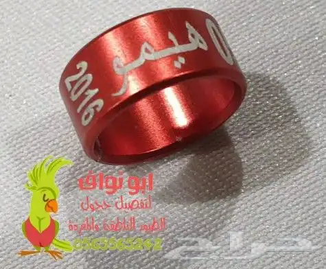 تفصيل حجول الحمام و الببغاء و الصقور وتحليل DNA 18