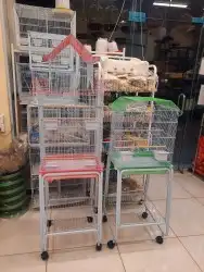 اكل طيور علف طيور مستلزمات طيور بادجي كروان كاسكو مكاو دره 1