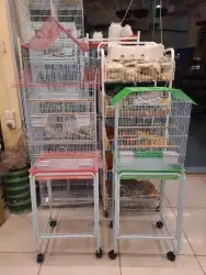 اكل طيور علف طيور مستلزمات طيور بادجي كروان كاسكو مكاو دره 2