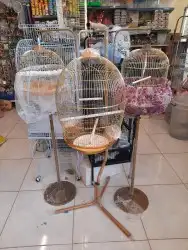 اكل طيور علف طيور مستلزمات طيور بادجي كروان كاسكو مكاو دره 4