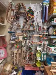 اكل طيور علف طيور مستلزمات طيور بادجي كروان كاسكو مكاو دره 5